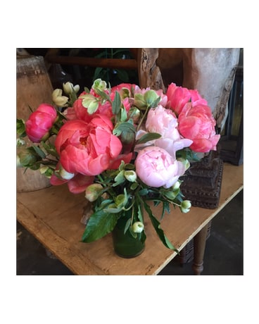 Petal Perfection